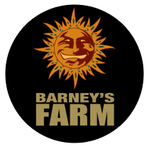 Barneys Farm Seeds - Cannabis Seeds Banks