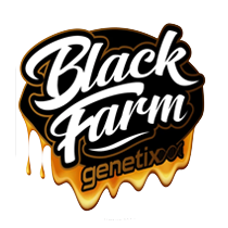 Black Farm Genetix - Cannabis Seeds Banks