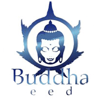 Buddha Seeds - Cannabis Seeds Banks