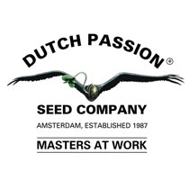 Dutch Passion Seeds - Cannabis Seeds Banks