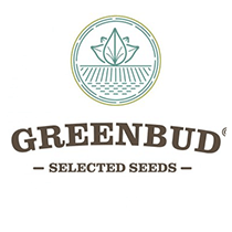 Greenbud Seeds
