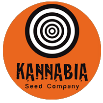 Kannabia Seeds - Cannabis Seeds Banks