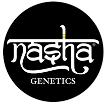 Nasha Genetics - Cannabis Seeds Banks