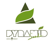 Pyramid Seeds - Cannabis Seeds Banks
