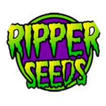 Ripper Seeds - Cannabis Seeds Banks