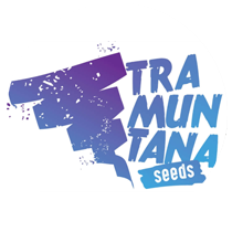 Tramuntana Seeds - Cannabis Seeds Banks