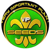 VIP Seeds