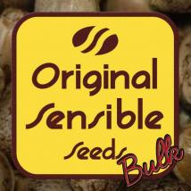 Bulk Cannabis Seeds | Cheese Auto bulk cannabis seeds