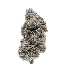 Tangerine Sherbet 