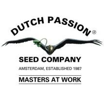 Random Free Seed