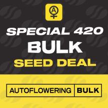 Auto Hindu Kush Bulk Autoflower Seeds bulk cannabis seeds