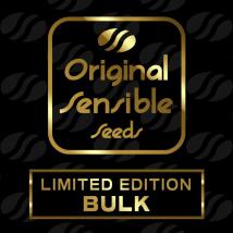 Durban Poison Fast bulk cannabis seeds