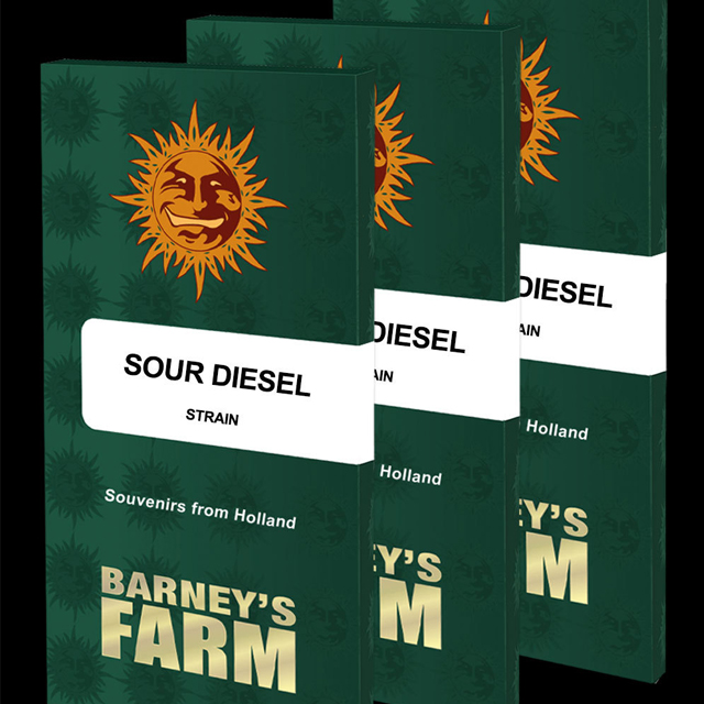 Buy Barneys Farm Seeds Sour Diesel FEM Buy Barneys Farm Seeds Sour Diesel FEM