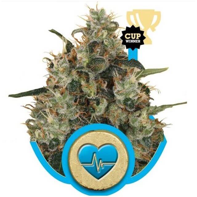 Medical Mass 